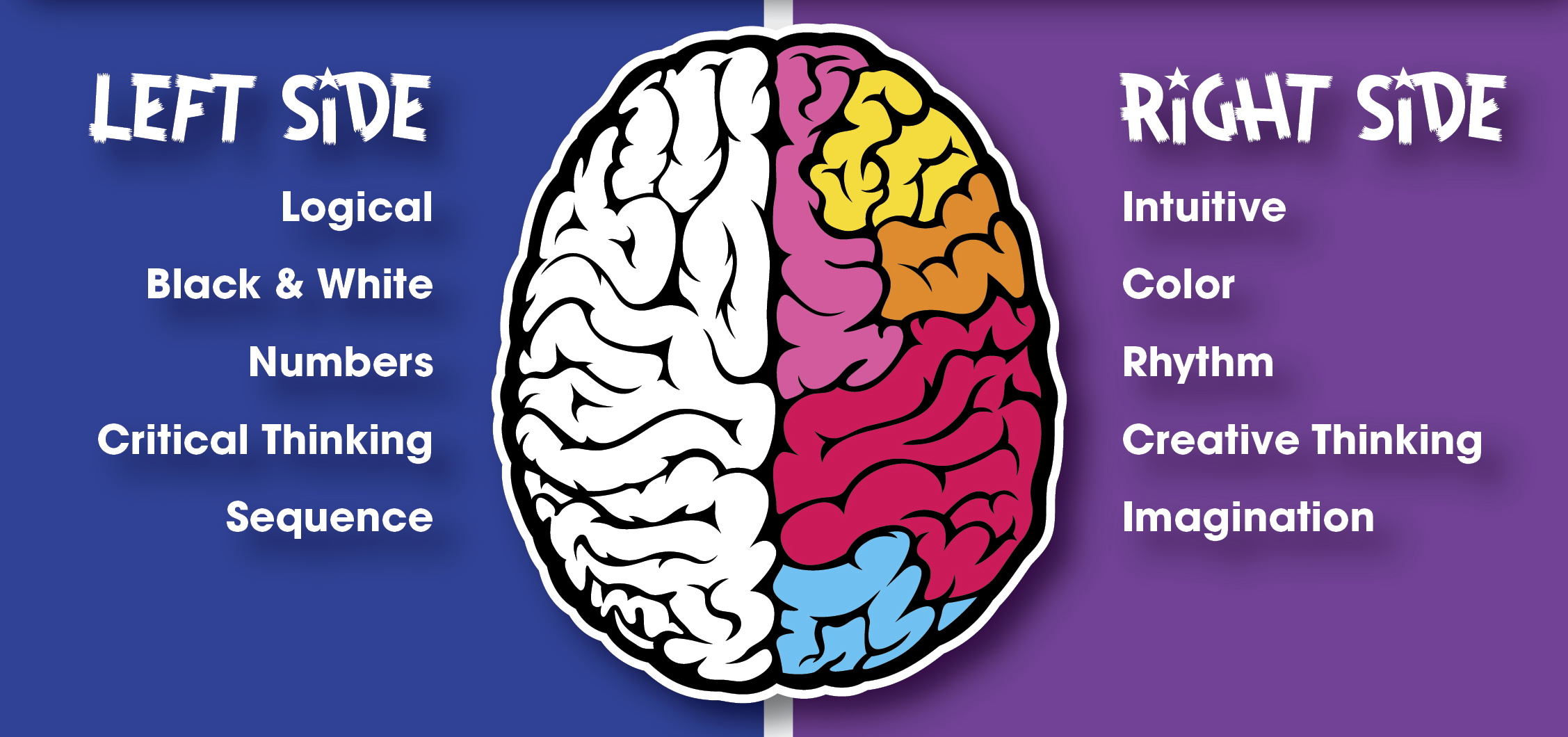 Math Genies Program develops your childs Whole Brain to increase their focus and concentration to ensure better grades